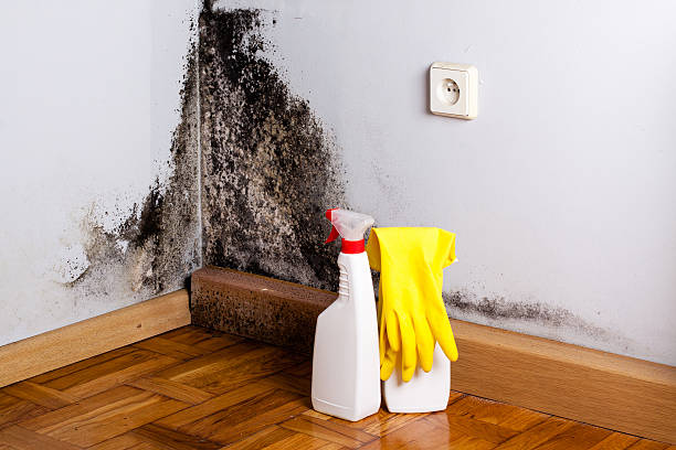 Best Residential Mold Removal  in Valley Cottage, NY